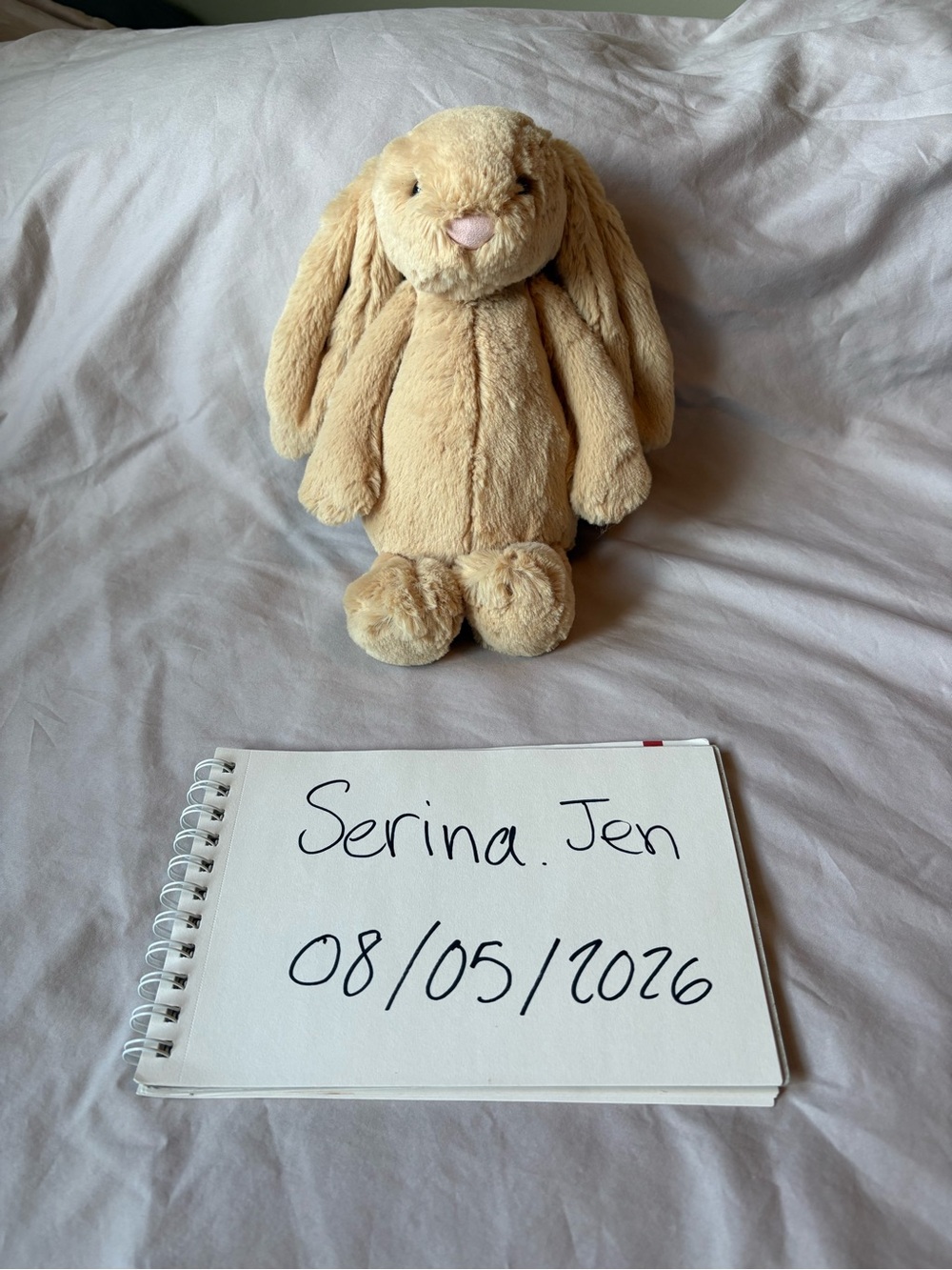 Jellycat bashful honey bunny